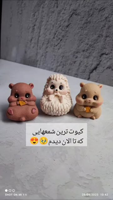 همستر و جوجه تیغی