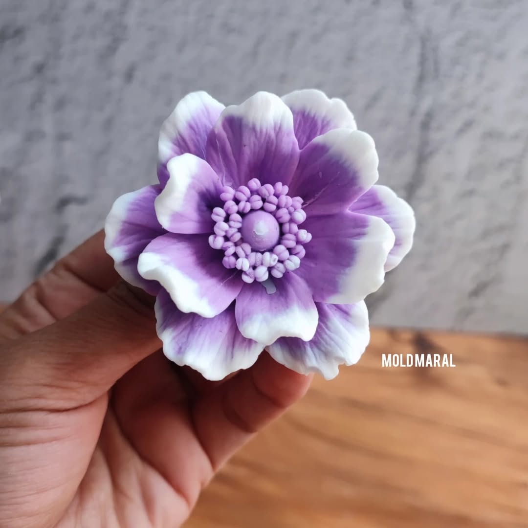 گل ملورین قطر ۷ ارتفاع ۴