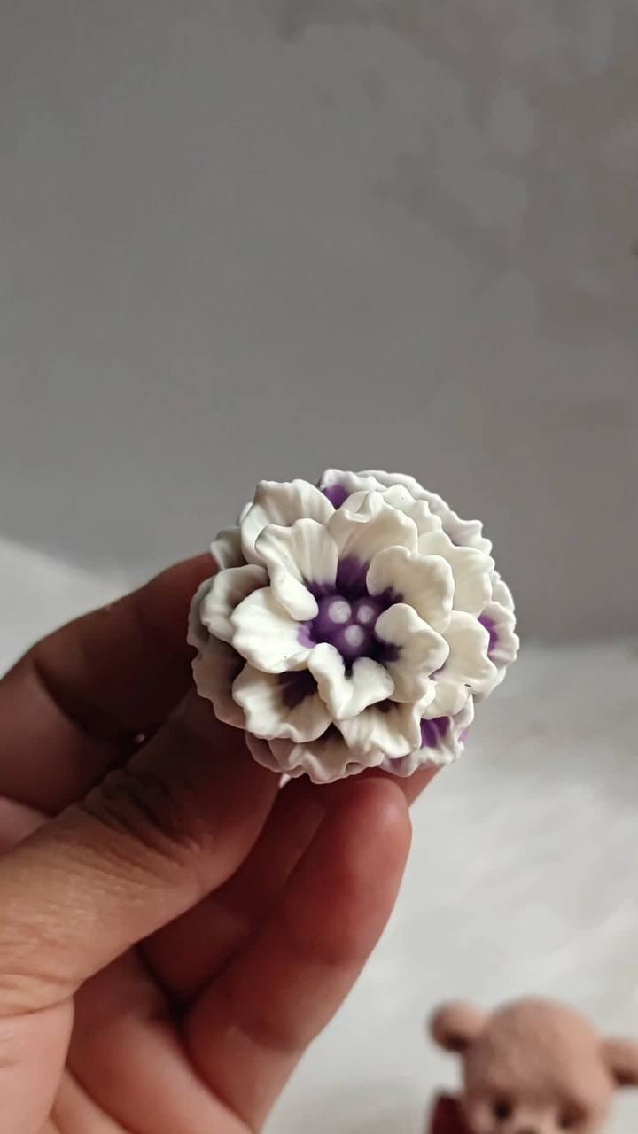 گل شایلی