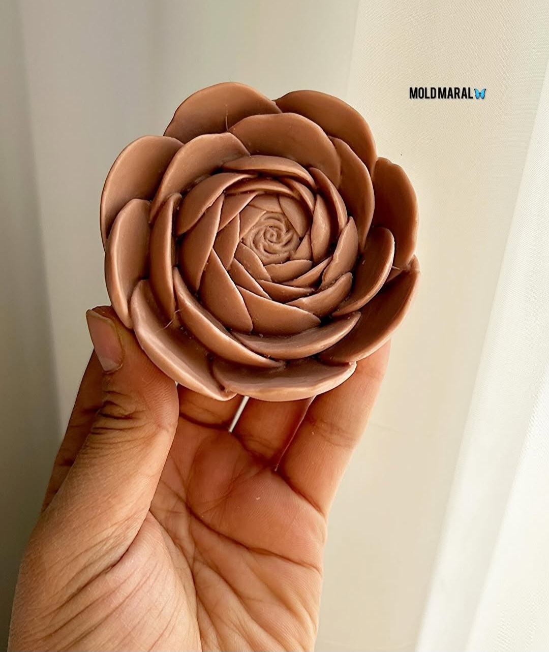 گل پیونی قدیمی قطر۸