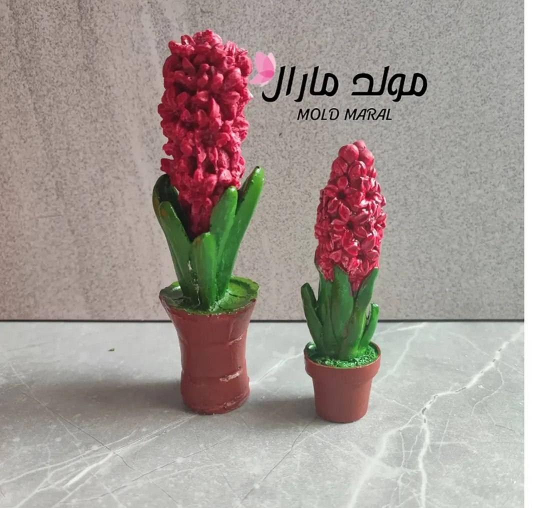 سنبل های قدیمی