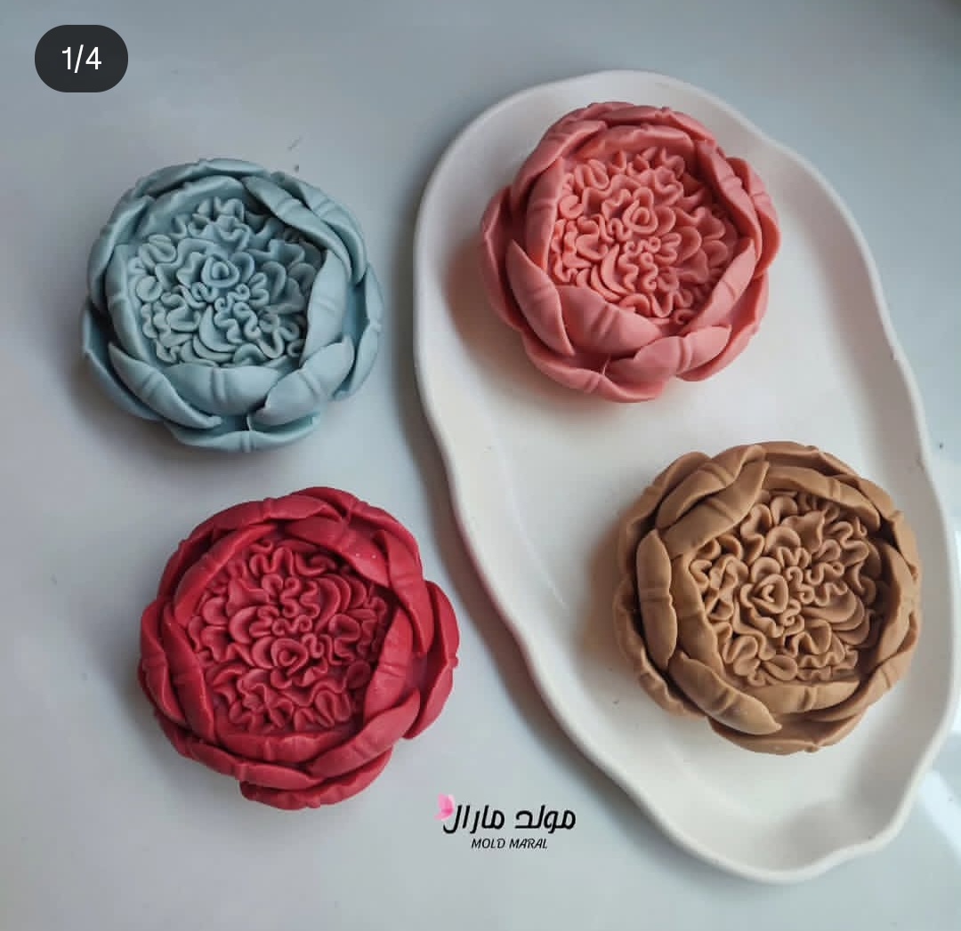 گل ملکه قطر۱۰