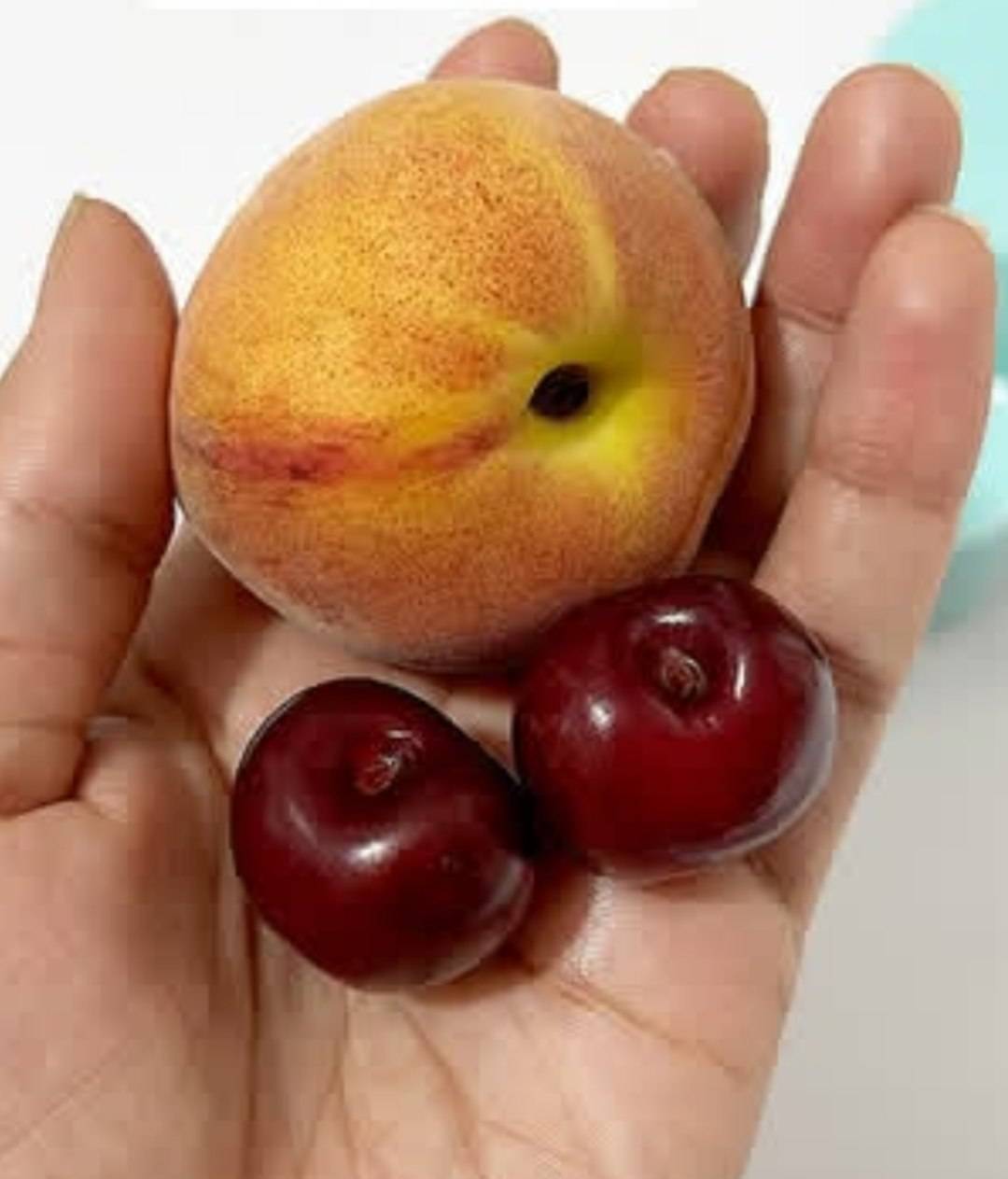 گیلاس طبیعی۲س