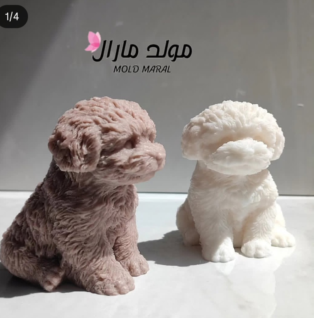 پودل اورجینال