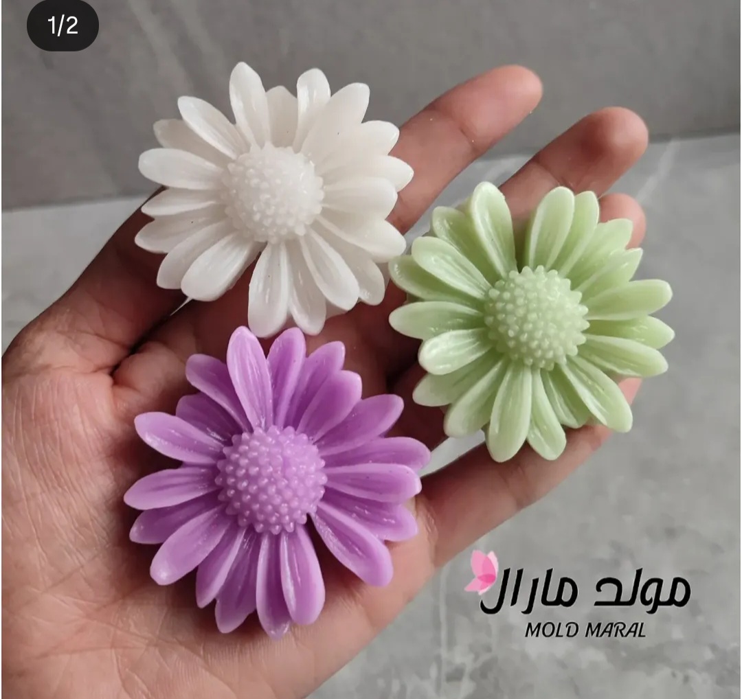 گل مارگاریت (بابونه) ۵س