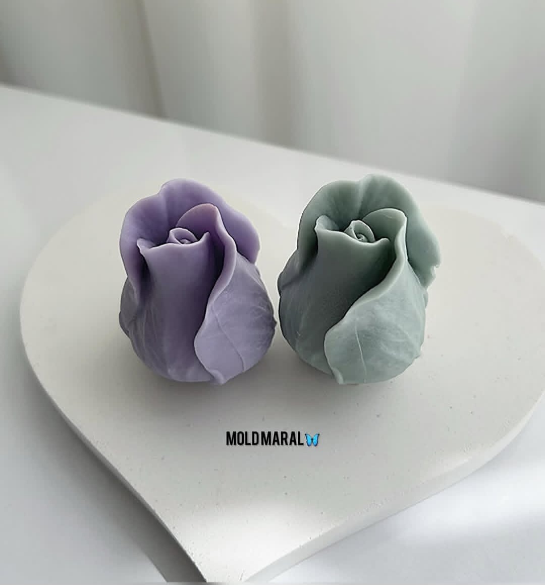 غنچه رز جدید