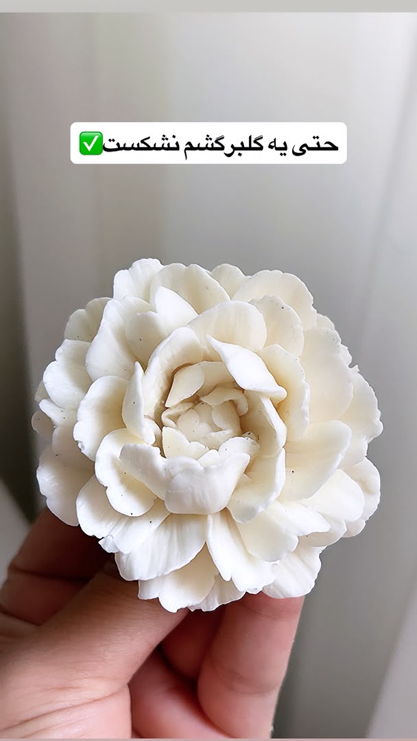 قالب گل دستساز آلما قطر ۶.۵ ارتفاع ۶